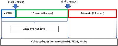 Emotionally focused couple therapy in cancer survivor couples with marital and sexual problems: a replicated single-case experimental design
